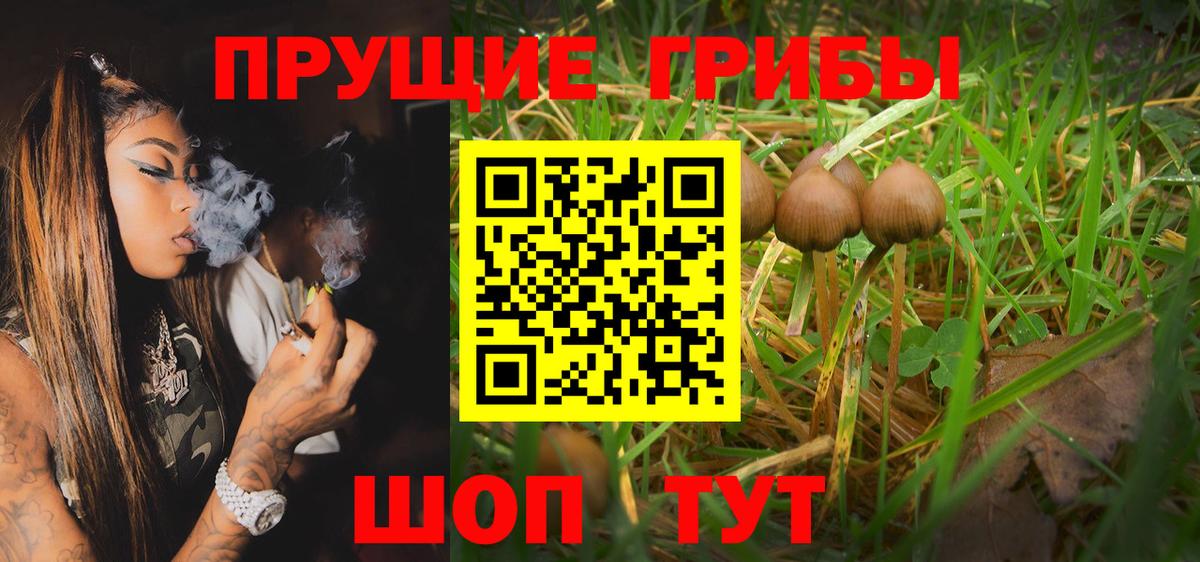 Галлюциногенные грибы Magic Shrooms Котовск